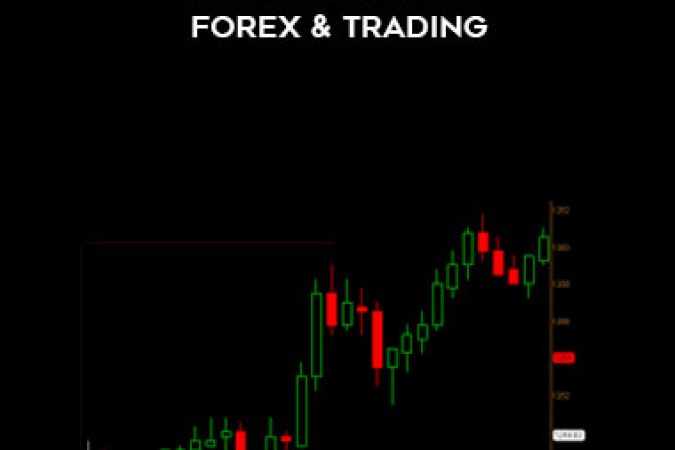 Derek Frey - Guide to Consistent Forex & Trading onnline courses