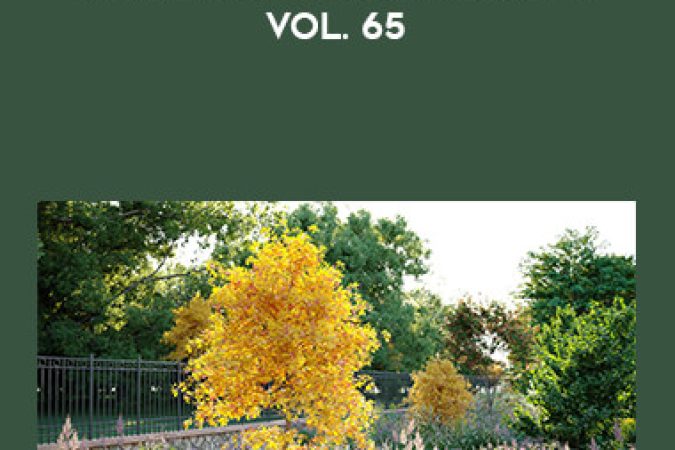 Maxtree - Plant Models Vol. 65 onnline courses