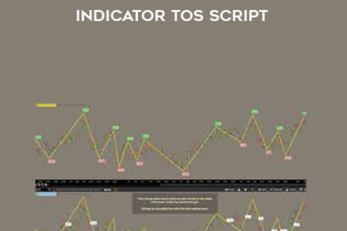 AutoWave for ThinkorSwim Indicator TOS Script onnline courses