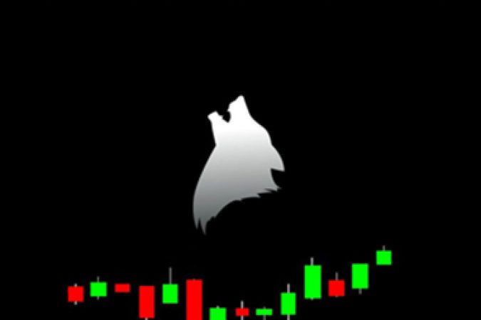 Wolf Trading - A Day Trading Guide onnline courses