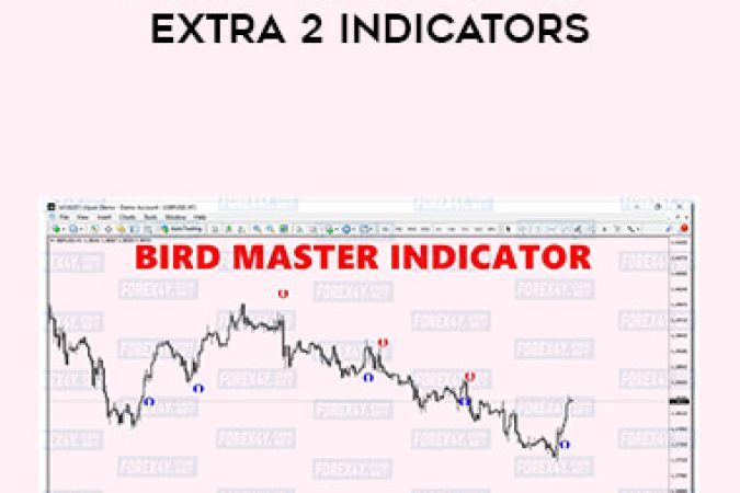 Fx BIRD MASTER SYSTEM + extra 2 indicators onnline courses