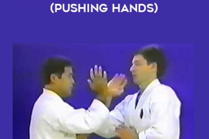 KAKIE of Goju-ryu Karate (Pushing Hands) onnline courses