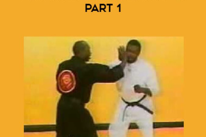 David James - Vee Arnis Jitsu Concepts Part 1 onnline courses