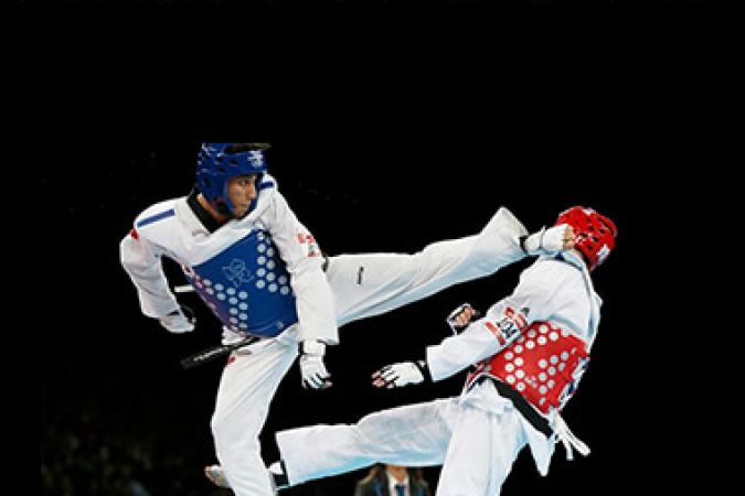 Encyclopedia of Tae Kwon Do onnline courses