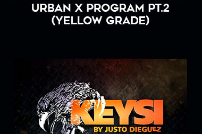 Keysi Fighting Method (KFM) - Urban X Program Pt.2 (Yellow Grade) onnline courses