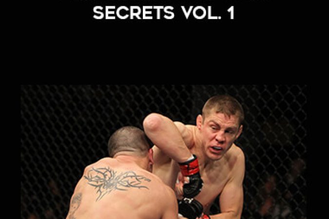 Duane Bang Ludwig - Full Force Fighting Secrets Vol. 1 onnline courses