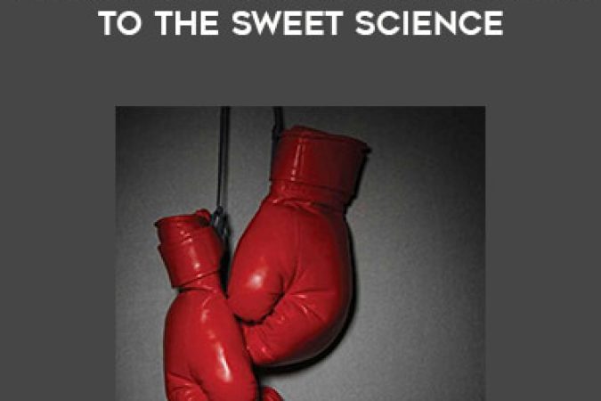 Bobby Mayne - The Art Of Boxing Your Guide to the Sweet Science onnline courses