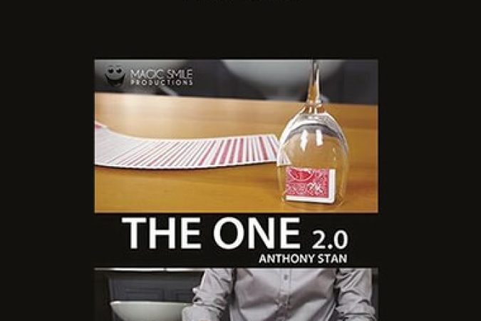 Anthony Stan - The One onnline courses