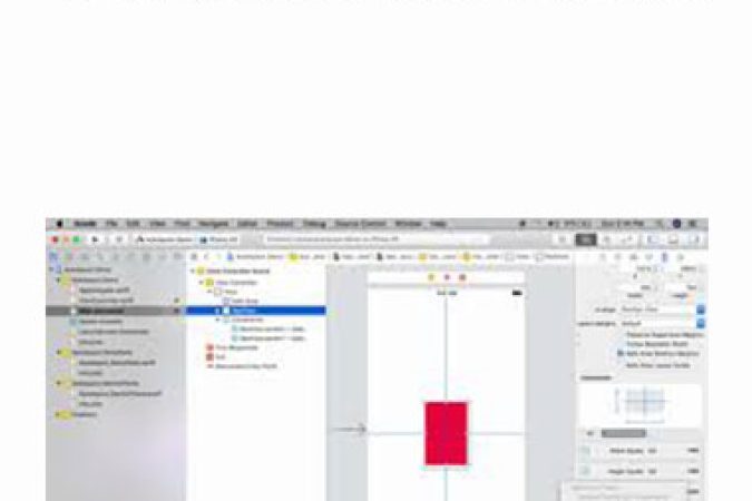 iOS Auto Layout - Concise & Comprehensive Guide onnline courses