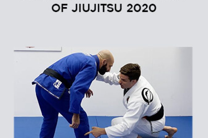 Ankle foot locks AOJ Art of Jiujitsu 2020 onnline courses