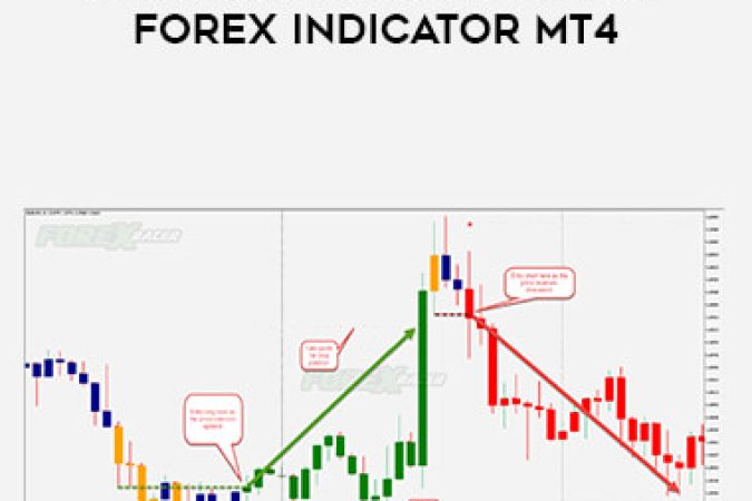 EFC Scanner Dashboard Forex Indicator MT4 onnline courses