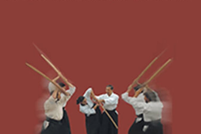 Hoa Newens - Aikido Curriculum Volumes 1 onnline courses