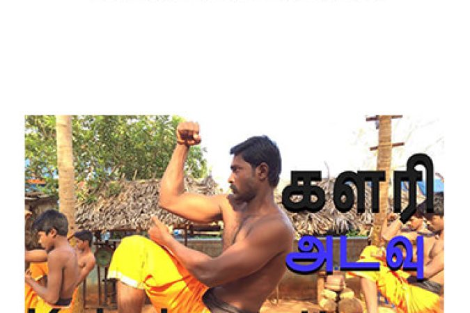 Kalaripayattu Basic onnline courses