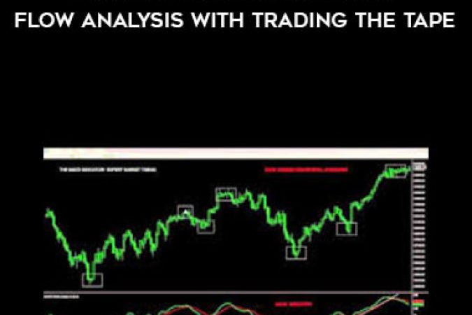 Scott Maxie - How To Trade Using Order Flow Analysis with Trading The Tape onnline courses