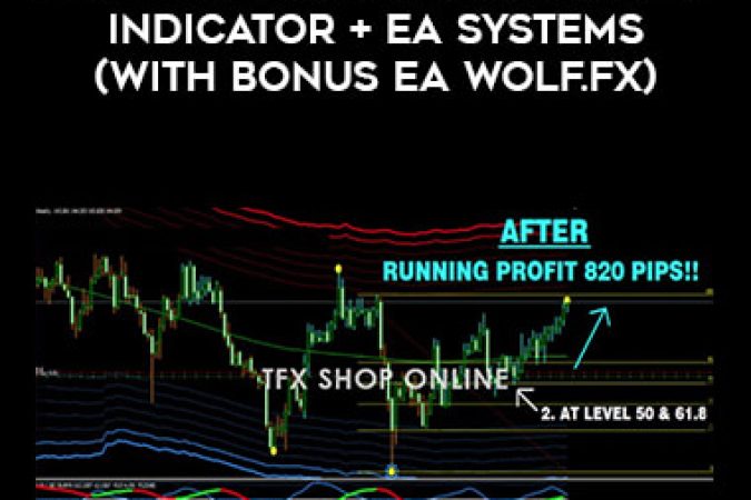 2021 FULL PACKAGE ACCURATE INDICATOR + EA SYSTEMS️( WITH BONUS EA WOLF.Fx) onnline courses