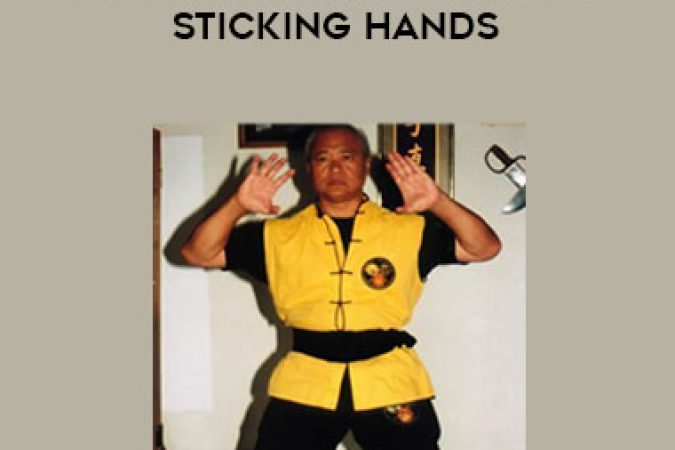 Eddie Chong - Wing Chun Vol.2 - Double Sticking Hands onnline courses