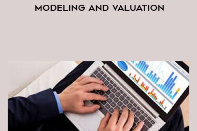 Beginner to Pro in Excel Financial Modeling and Valuation onnline courses