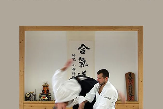 All facets of Aikido 1 part 2 onnline courses