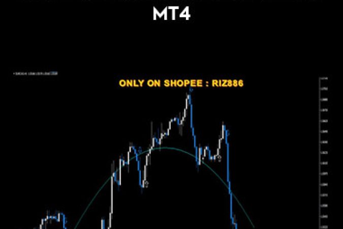 2021 Fx PRO TRADER BY RIZ886 MT4 onnline courses