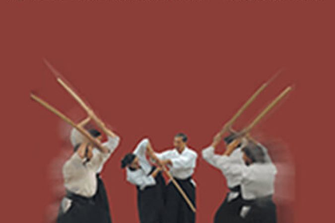 Hoa Newens - Aikido Curriculum Volumes 6 onnline courses