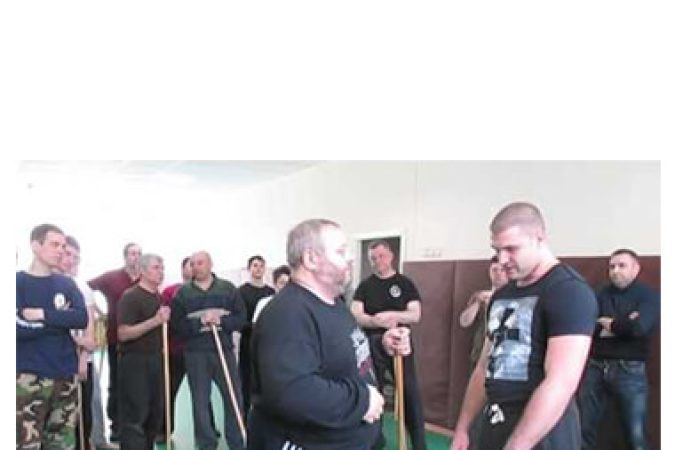 Russian Martial Art Systema - Beyond The Physical onnline courses