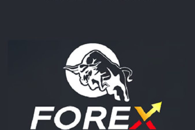 Forex Chasers 3.0 onnline courses