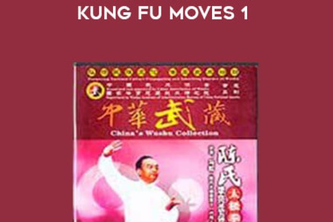 Ma Hong - Push Hands and Kung Fu Moves 1 onnline courses