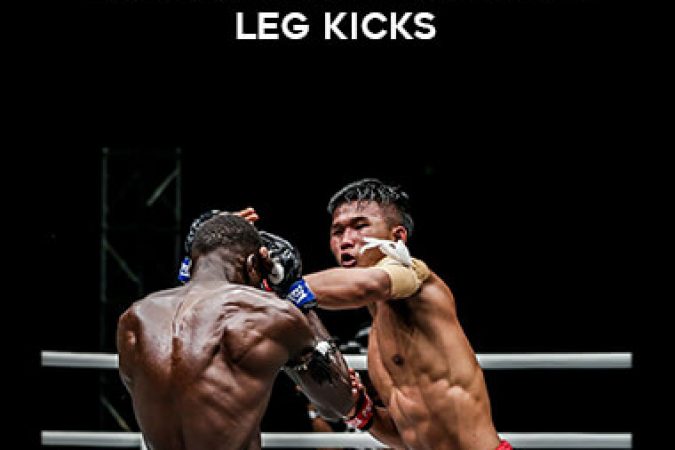 Fairtex Muay Thai Vol. 3 Leg Kicks onnline courses