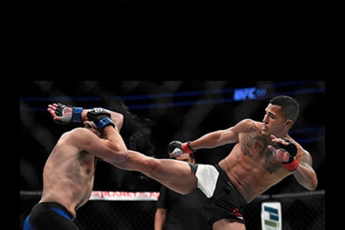 Anthony Pettis Showtime Striking System onnline courses