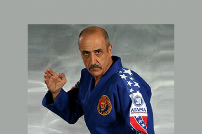 John Pellegrini - Combat Hapkido (Vols 1-4) onnline courses