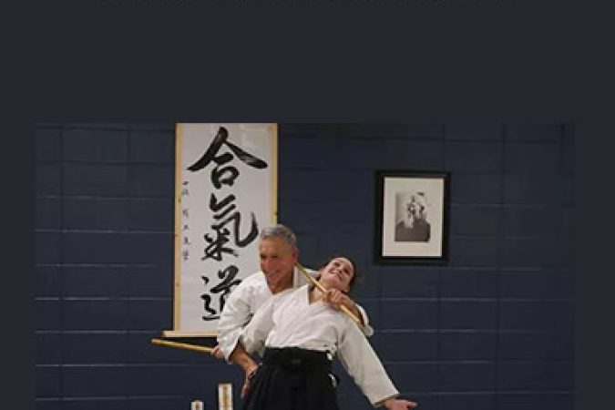 A.V. Markin - Aikido seminar Part 2 onnline courses