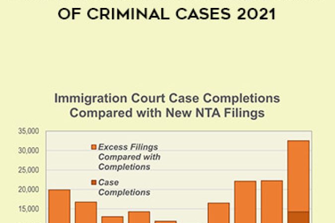 2021 Immigration Consequences of Criminal Cases 2021 onnline courses