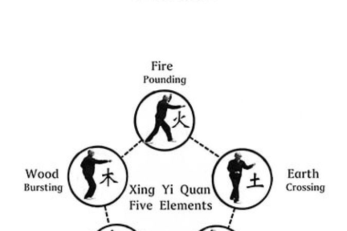 Bo Jai Cong - Yi Quan onnline courses