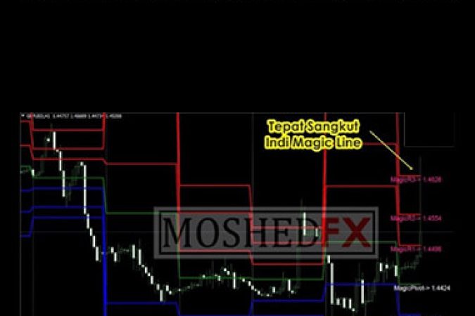 Moshed Magic Line Indicator onnline courses