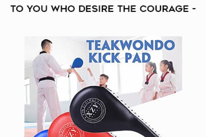 Karate kickboxing instructional - To you who desire the courage - Shin Karate Bible onnline courses