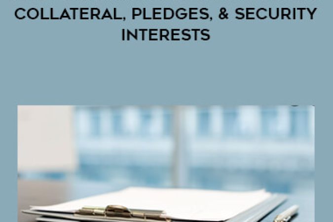 2020 LLC/Partnerships Interests: Collateral