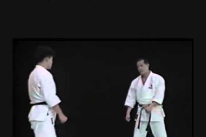 Seiji Nishimura - Best Karate Kick Techniques onnline courses