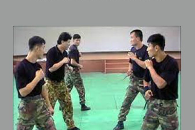 Floro Fighting System onnline courses