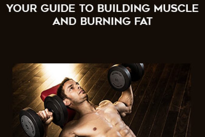 Men's Fitness Workout Manual - Your Guide To Building Muscle And Burning Fat onnline courses