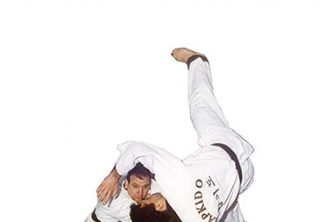 Sin Moo - Hapkido Level 1 Techniques onnline courses