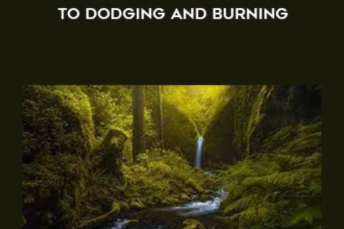 Painting with Light - Artistic Approaches to Dodging and Burning onnline courses