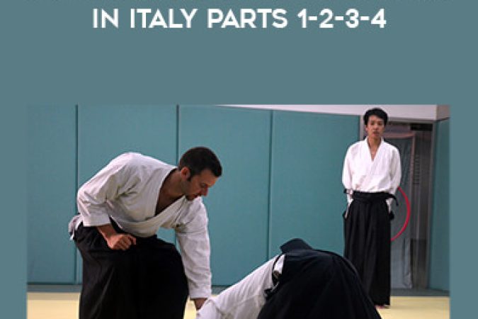 40th Anniversary Of Aikido In Italy parts 1-2-3-4 onnline courses