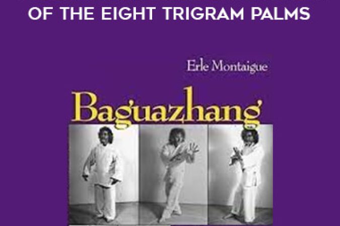 Erle montaigue - Baguazhang Fighting Secrets of the Eight Trigram Palms onnline courses