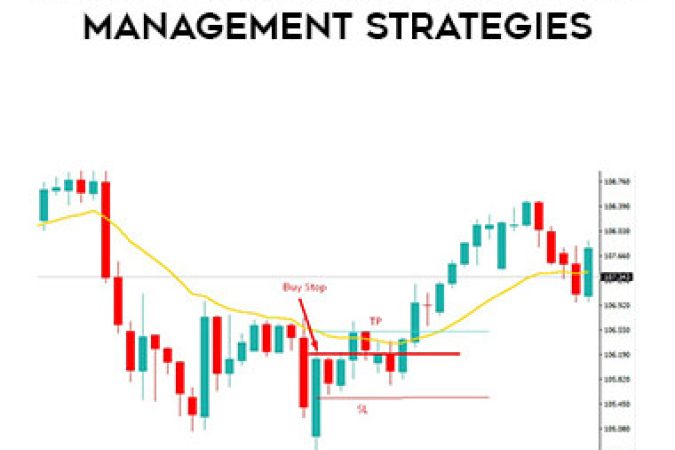 Linda B. Raschke - Market Structure and Trade Management Strategies onnline courses