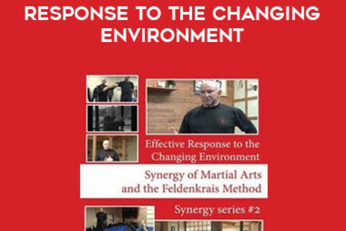 Moti Nativ - Synergy Series #2 - Effective Response to the Changing Environment onnline courses