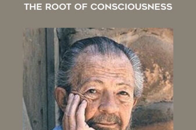 David Hawkins - Realizing the Root of Consciousness onnline courses