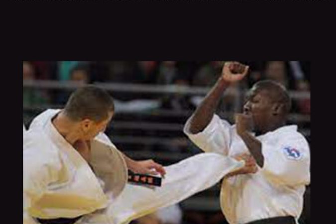 Kyokushinkai Karate Training onnline courses