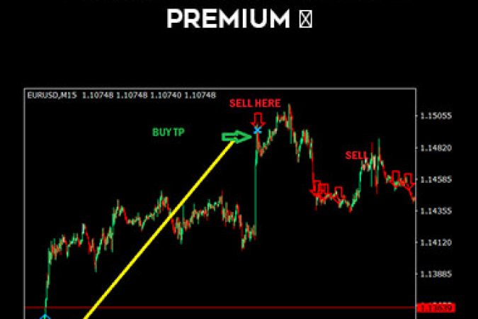 Forex Indicator Profit Premium onnline courses