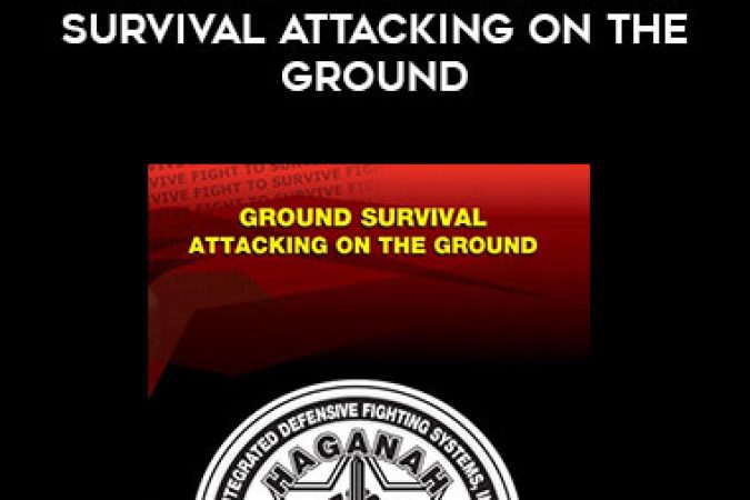 Haganah F.I.G.H.T. Ground Survival Attacking On The Ground onnline courses