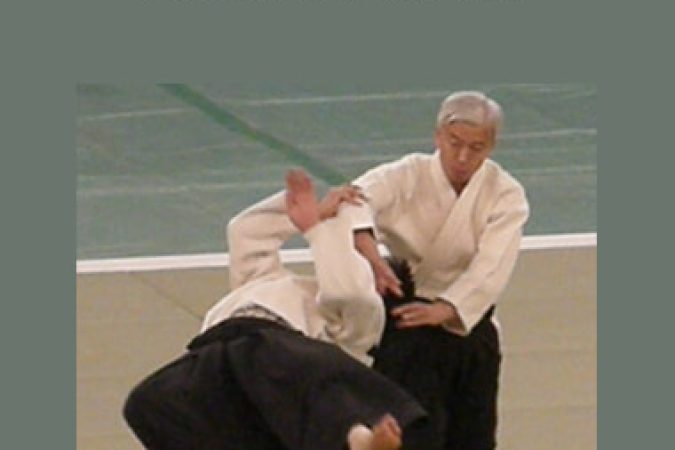 Bruise Moriteru - Aikido Principles onnline courses